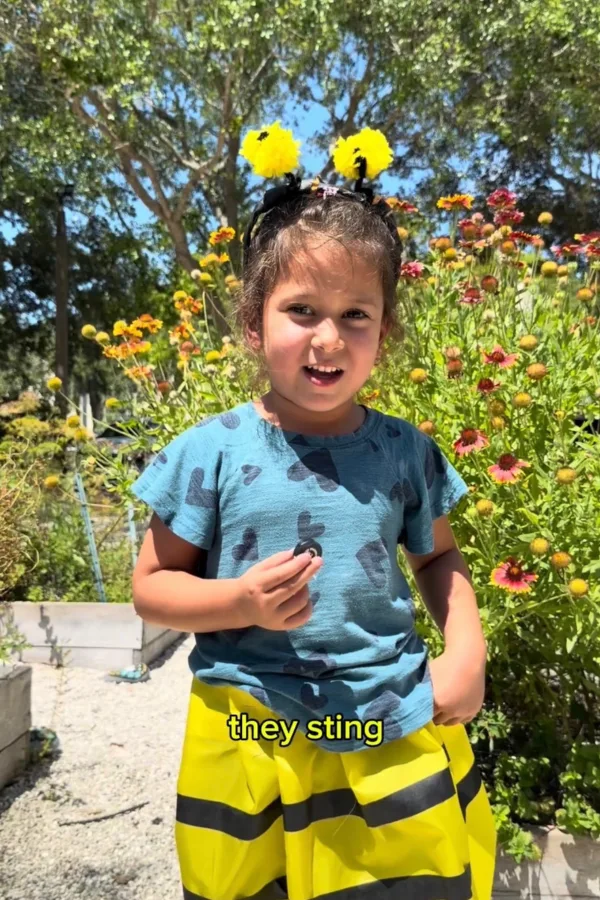 bees