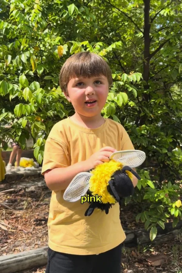 bees